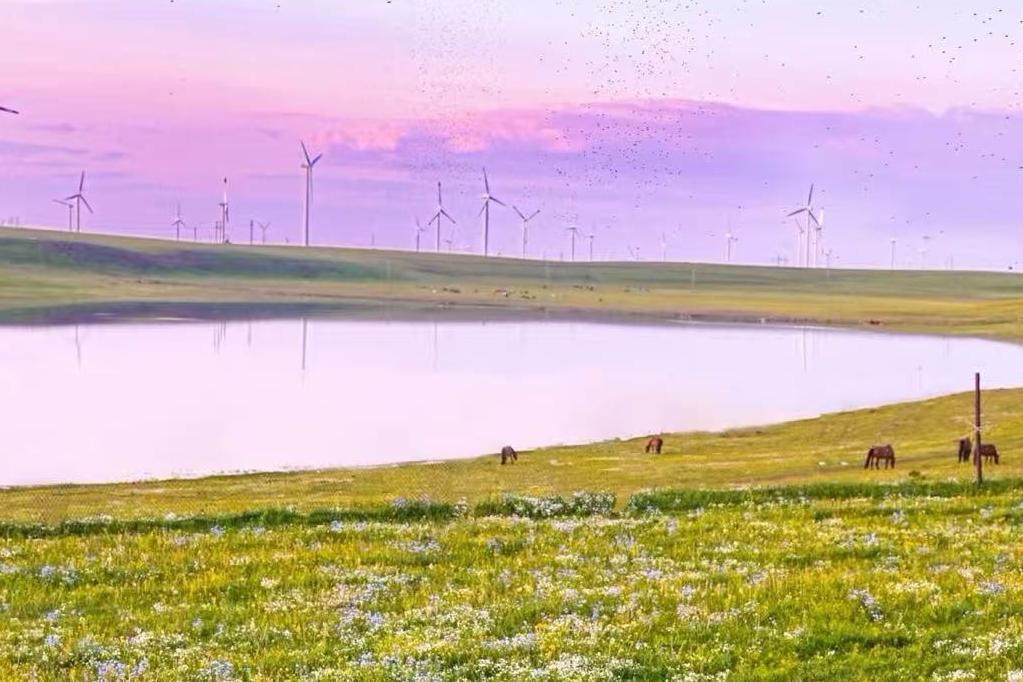 载誉前行：金旅假日蝉联“年度最靠谱旅行社”，以口碑定义北疆旅游新高度