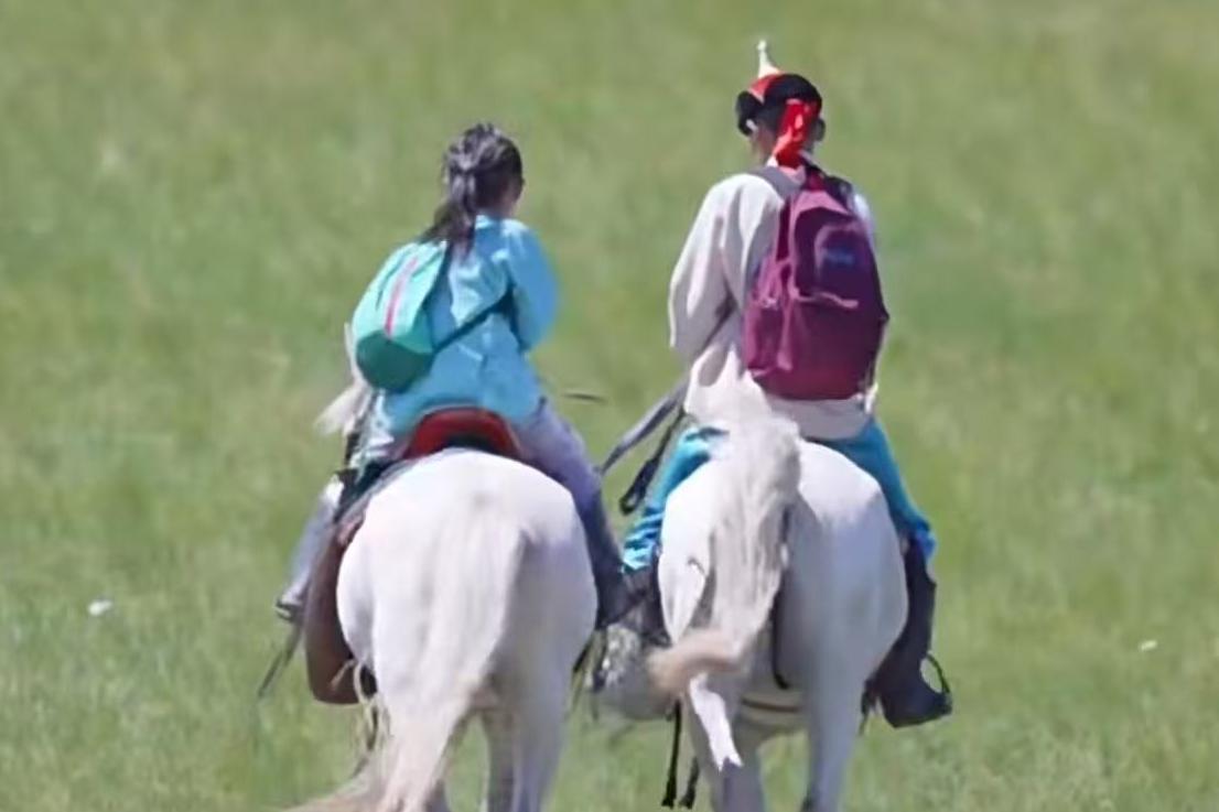 收藏这篇安全指南，让您的草原之行“绚烂”且无忧