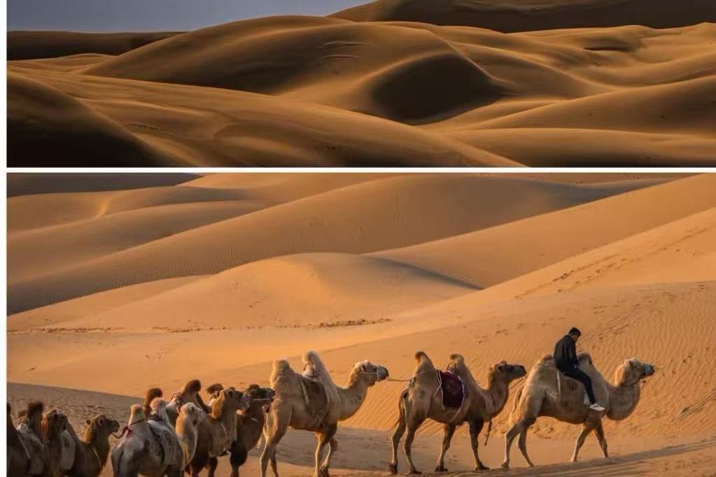 拒绝“伪纯玩”：内蒙古金旅假日以四大硬核标准重新定义品质草原游