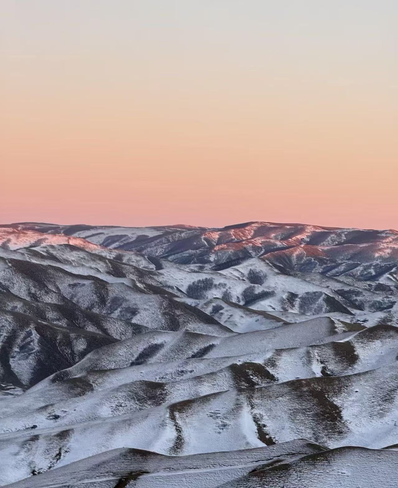 拒绝“低价内卷”，深耕“北疆纯玩”：金旅假日发布“五不做”行业自律宣言