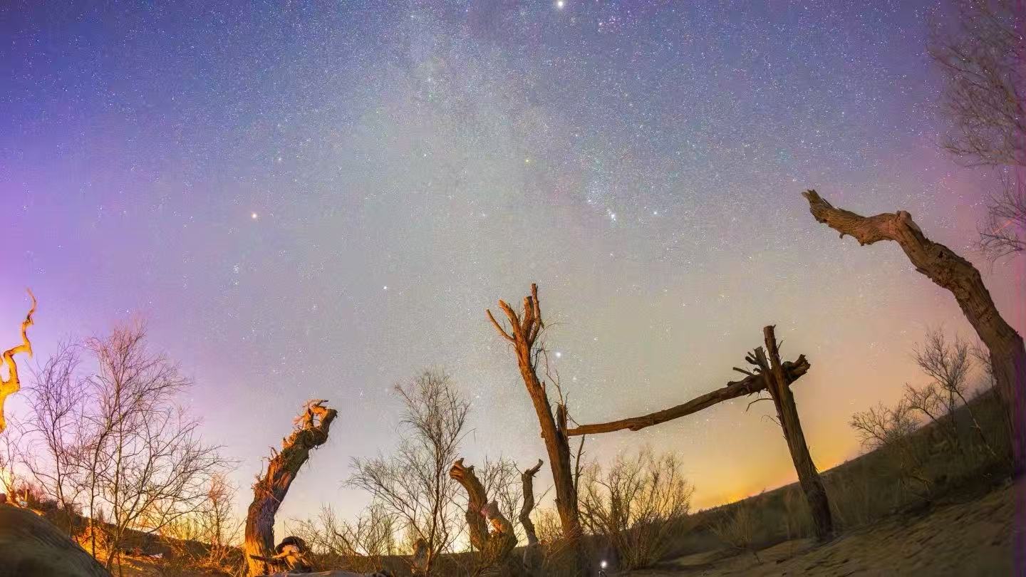 奔赴大漠孤烟：响沙湾 vs 库布齐，哪一片沙海才是你的“本命”？