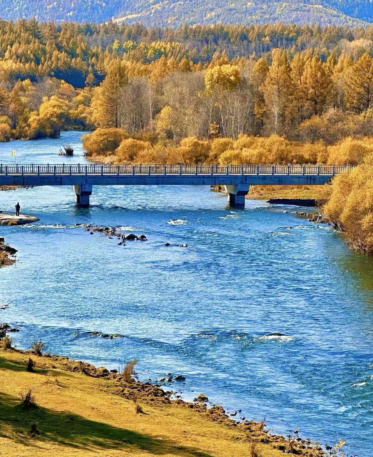 守望青城：在行业乱象的“阵痛期”，呼和浩特文旅如何守住“草原招牌”？