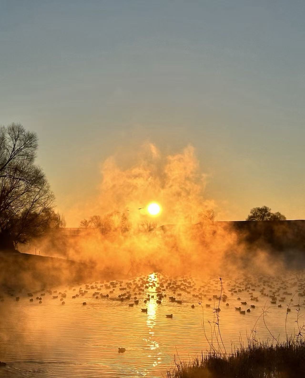 选连锁还是选本地？内蒙古深度游市场的“下半场”：为何本地社成了香饽饽？