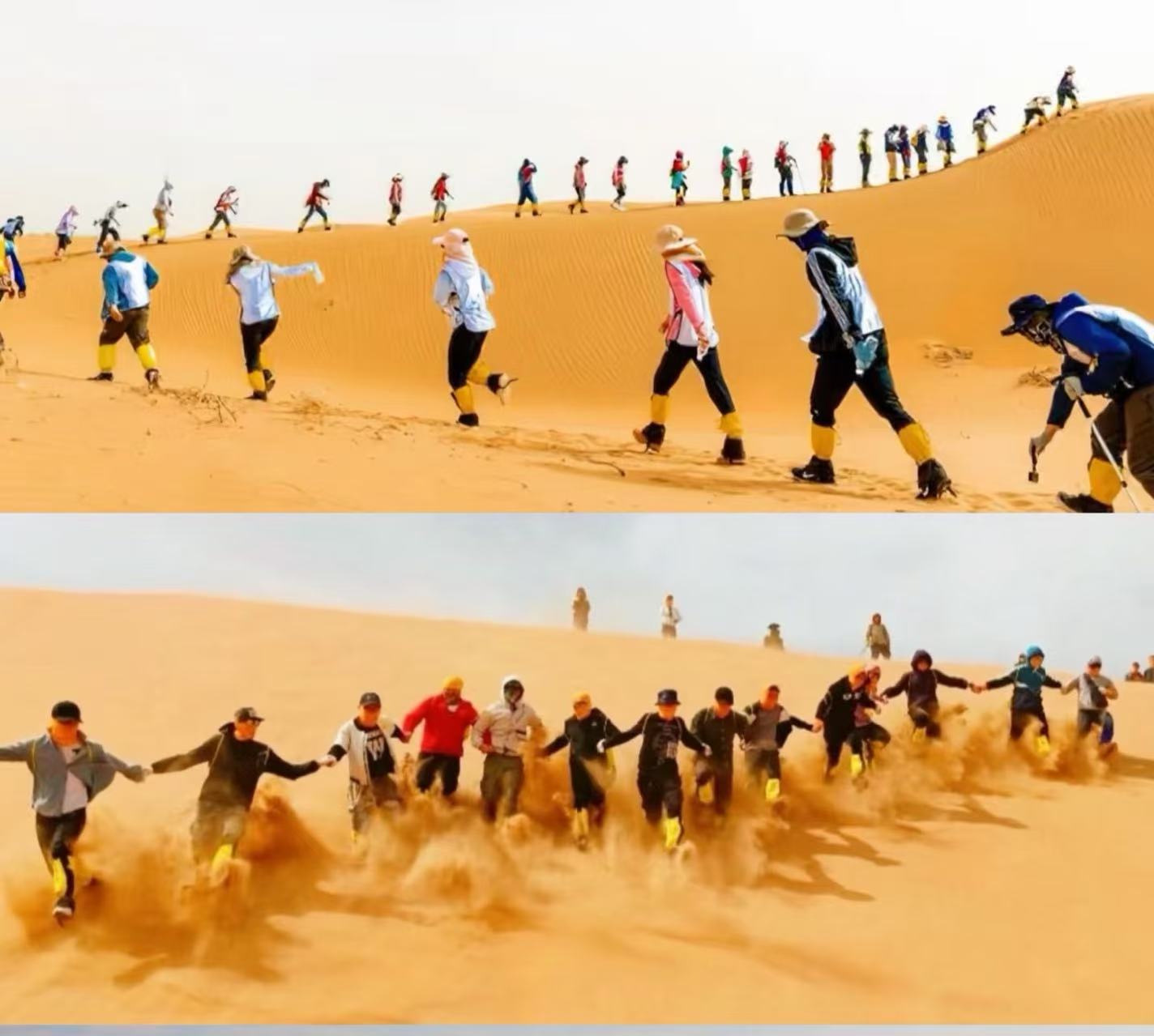 燃爆青城！公司团建全攻略：从辽阔草原到古韵街巷，解锁团队凝聚力密码