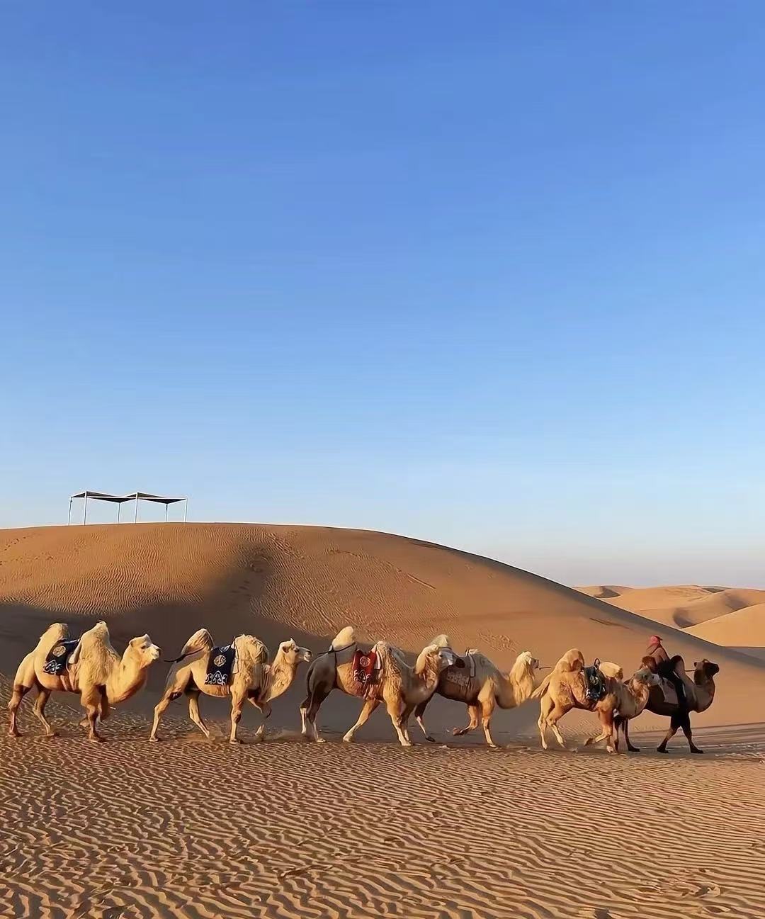 呼和浩特四季旅行穿搭全攻略：拒绝“早穿棉袄午穿纱”的尴尬！