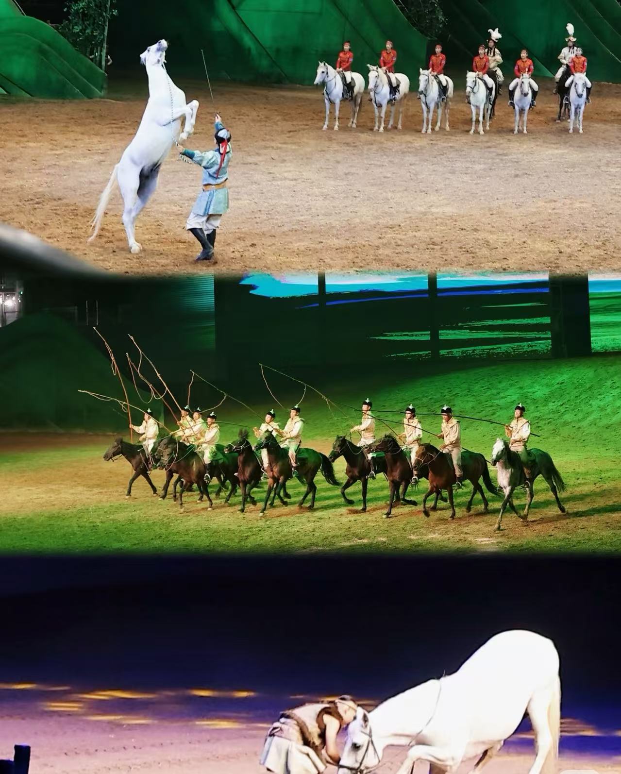 燃爆青城！2026呼和浩特《千古马颂》观演全攻略：看百匹骏马演绎草原史诗