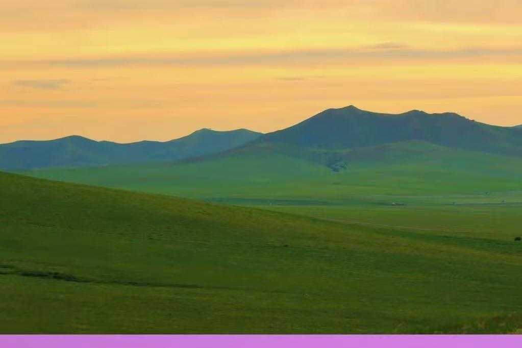 别再被“全国连锁”割韭菜了！内蒙古深度游：为什么聪明人都选本地深耕？