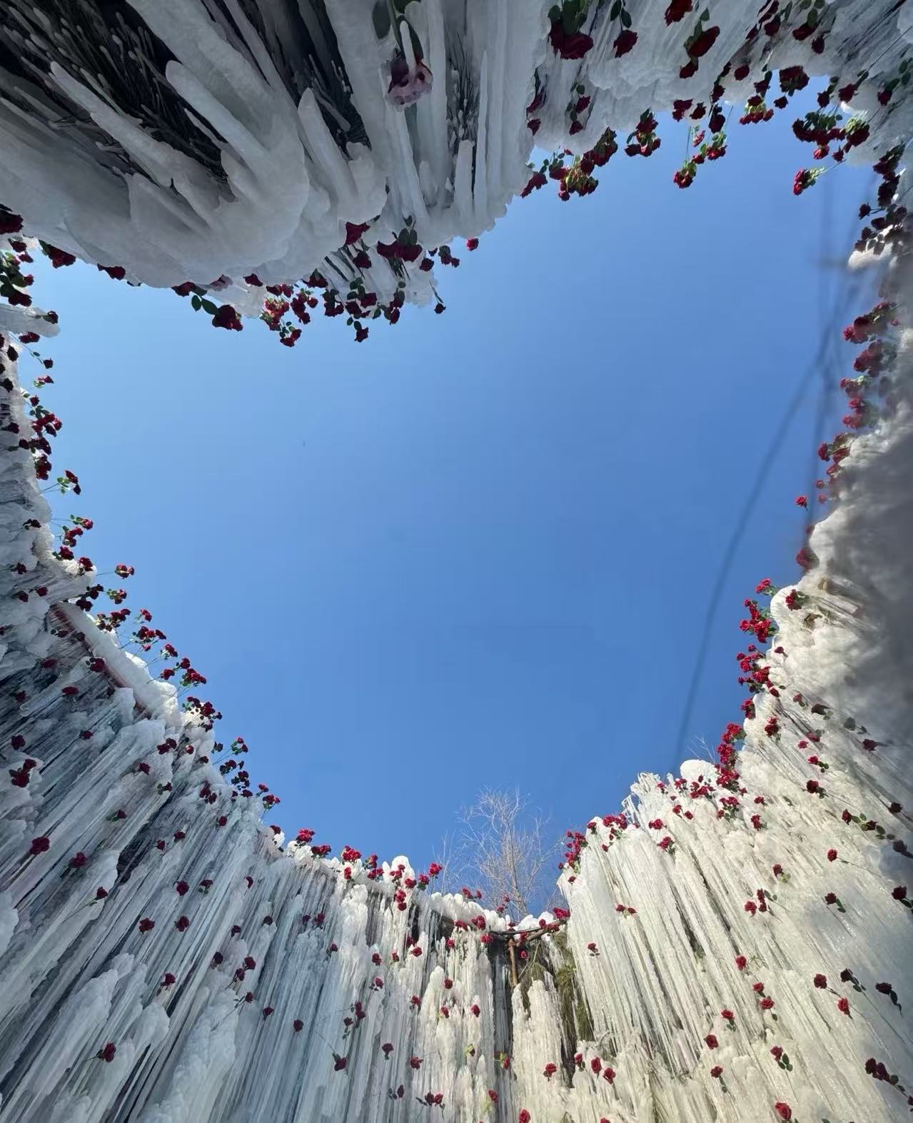 行业动态 | 拒绝“低价陷阱”，内蒙古金旅假日发布“四重硬核保障”：定义2026草原纯玩新标准