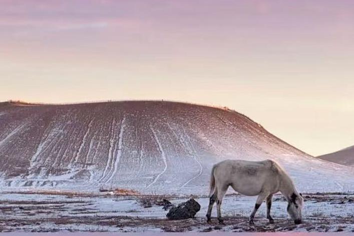 深度观察 | 无法复刻的“金旅灵魂”：为何价值观才是内蒙古旅游的最高门槛？