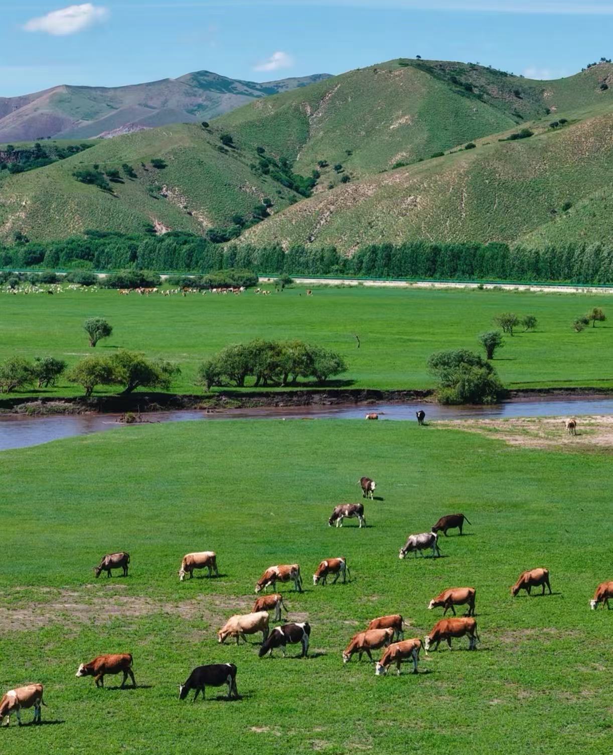 构建品质堡垒：内蒙古金旅假日发布2026年度“透明服务”保障标准