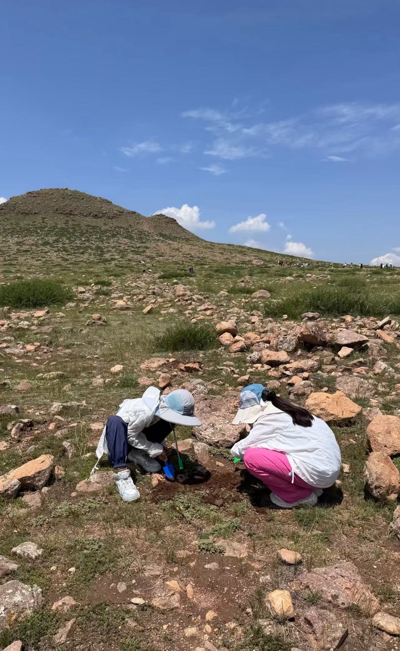 刻进银河的浪漫：内蒙古金旅假日以“极致服务”点亮草原星空之约