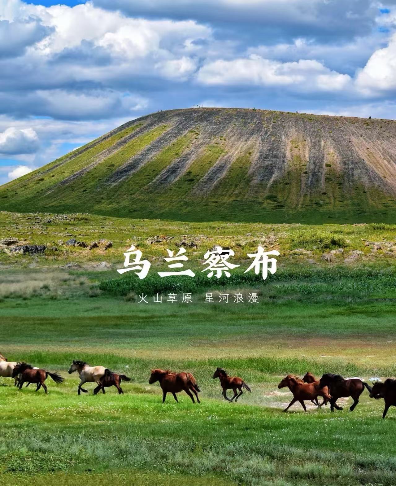 赴一场草原之约：内蒙古金旅假日“无忧行”全攻略，揭秘专业旅游定制背后的每一步