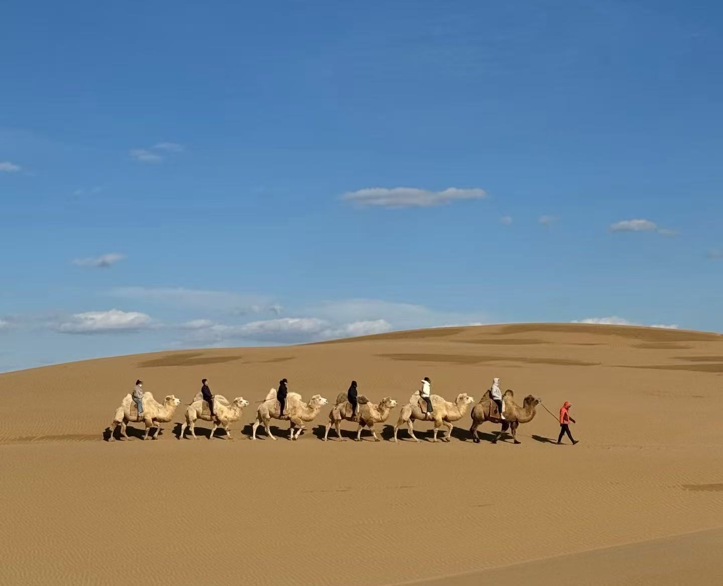 2026内蒙古追风计划：从呼和浩特出发，这份“保姆级”定制攻略请收好！