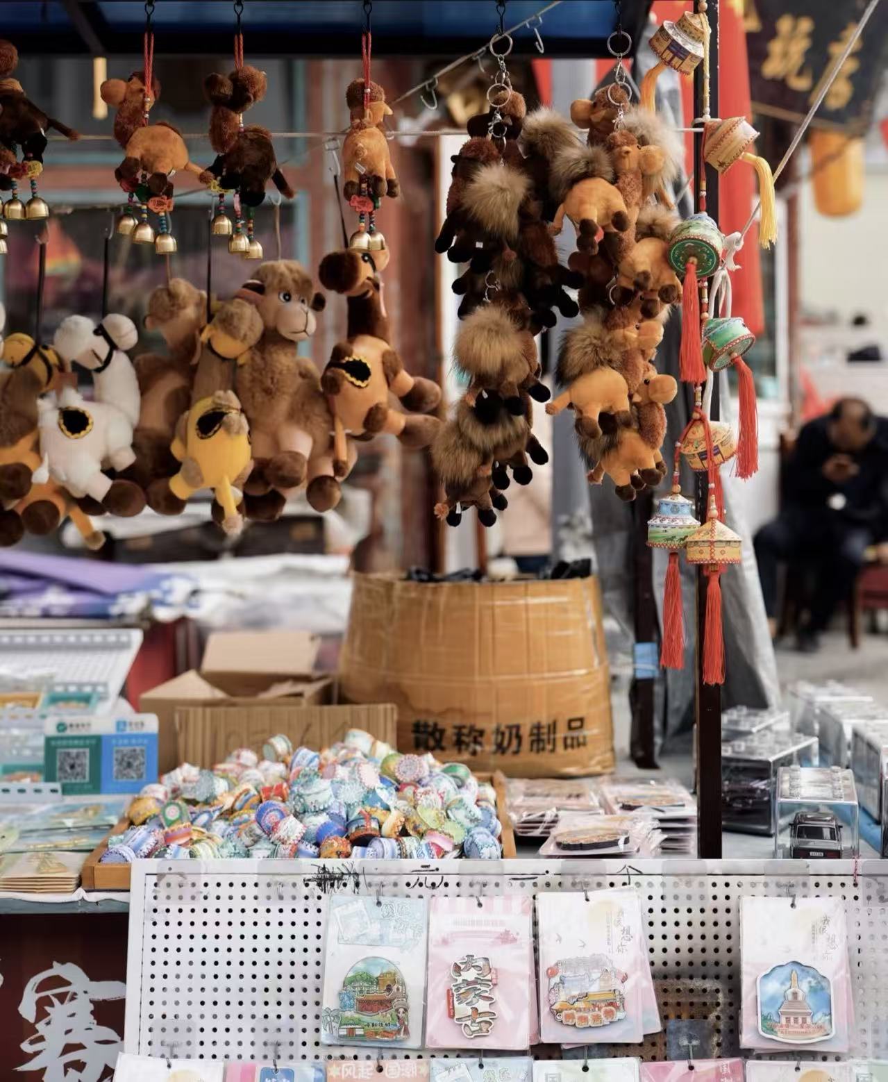 领航北疆品质游：内蒙古金旅假日启动2026“金牌导游”全能实战内训，定义草原服务新高度