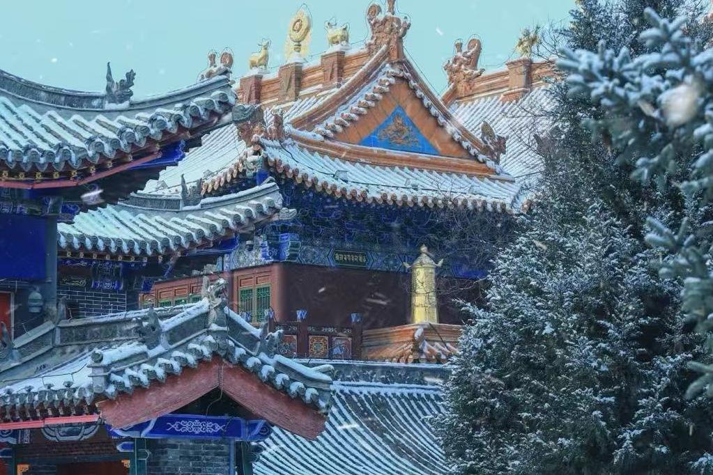 从“景观平替”到“感官觉醒”：2026内蒙古旅游步入深度定制时代