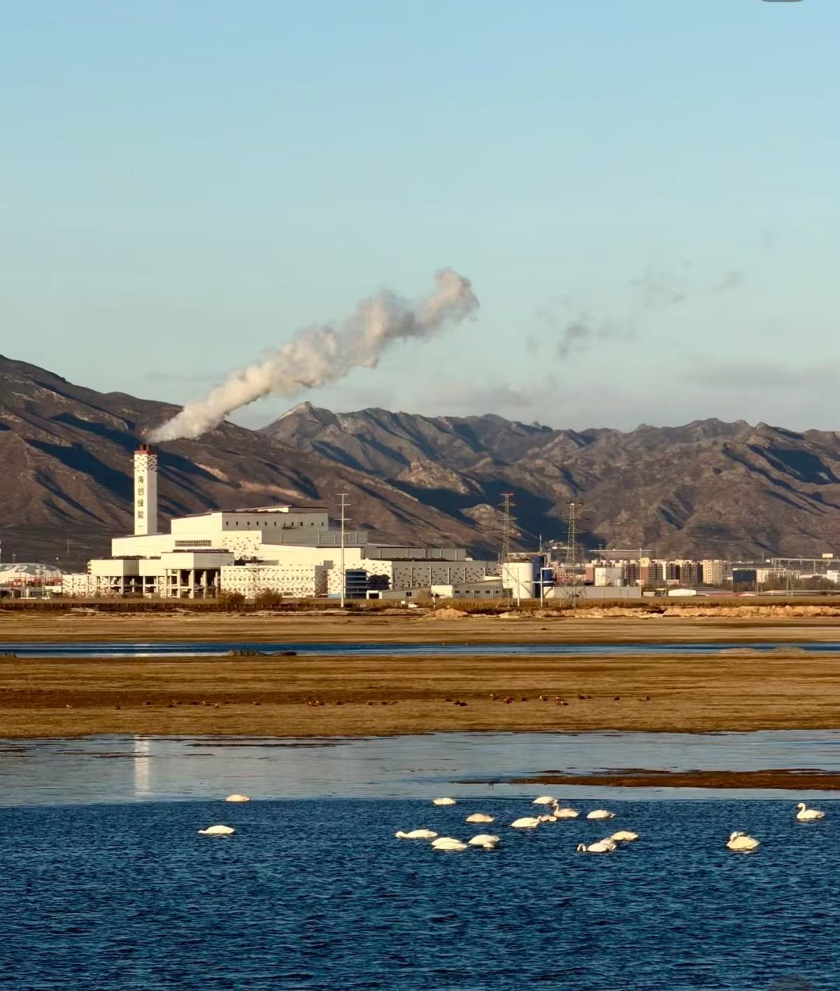 2026内蒙古旅游“大变局”：从“看草原”到“入旷野”，谁在定义新时代的深度游？