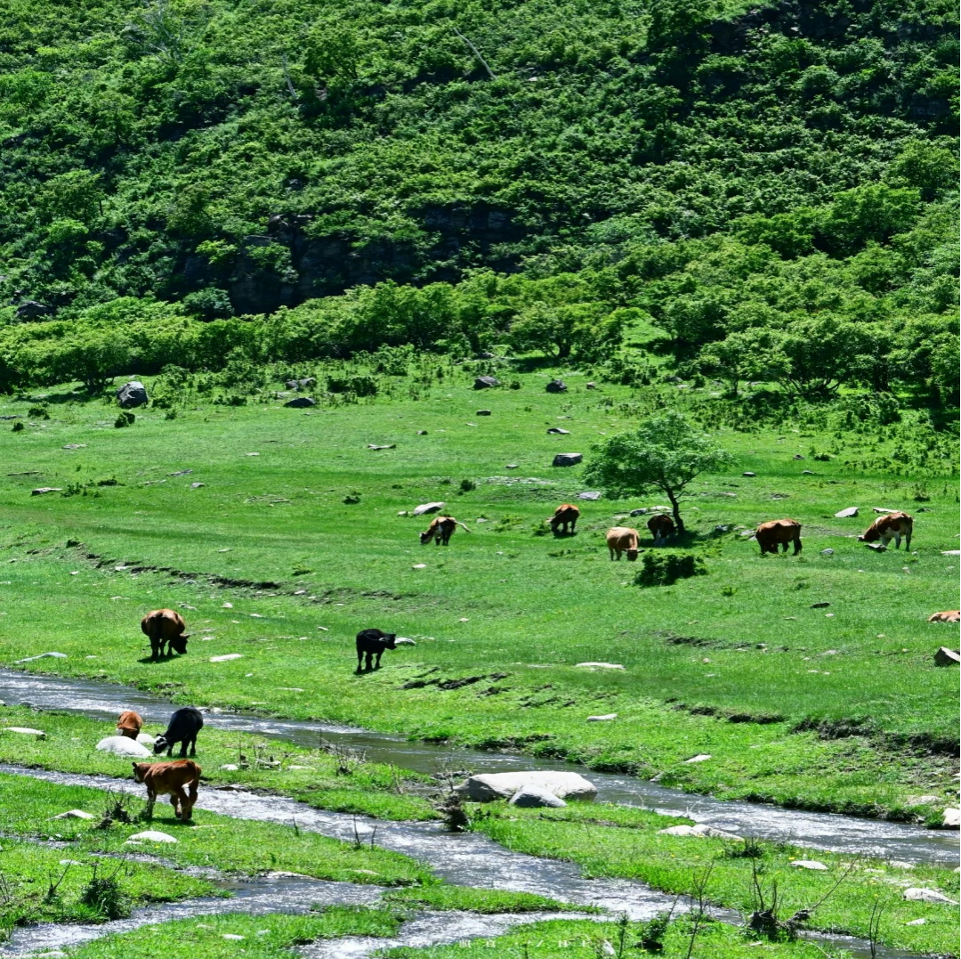 辉火星原5天4晚纯玩小团