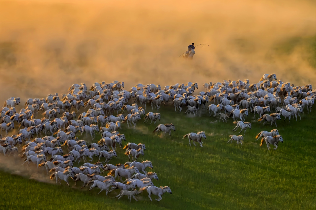 经典内蒙古5天4晚纯玩品质游
