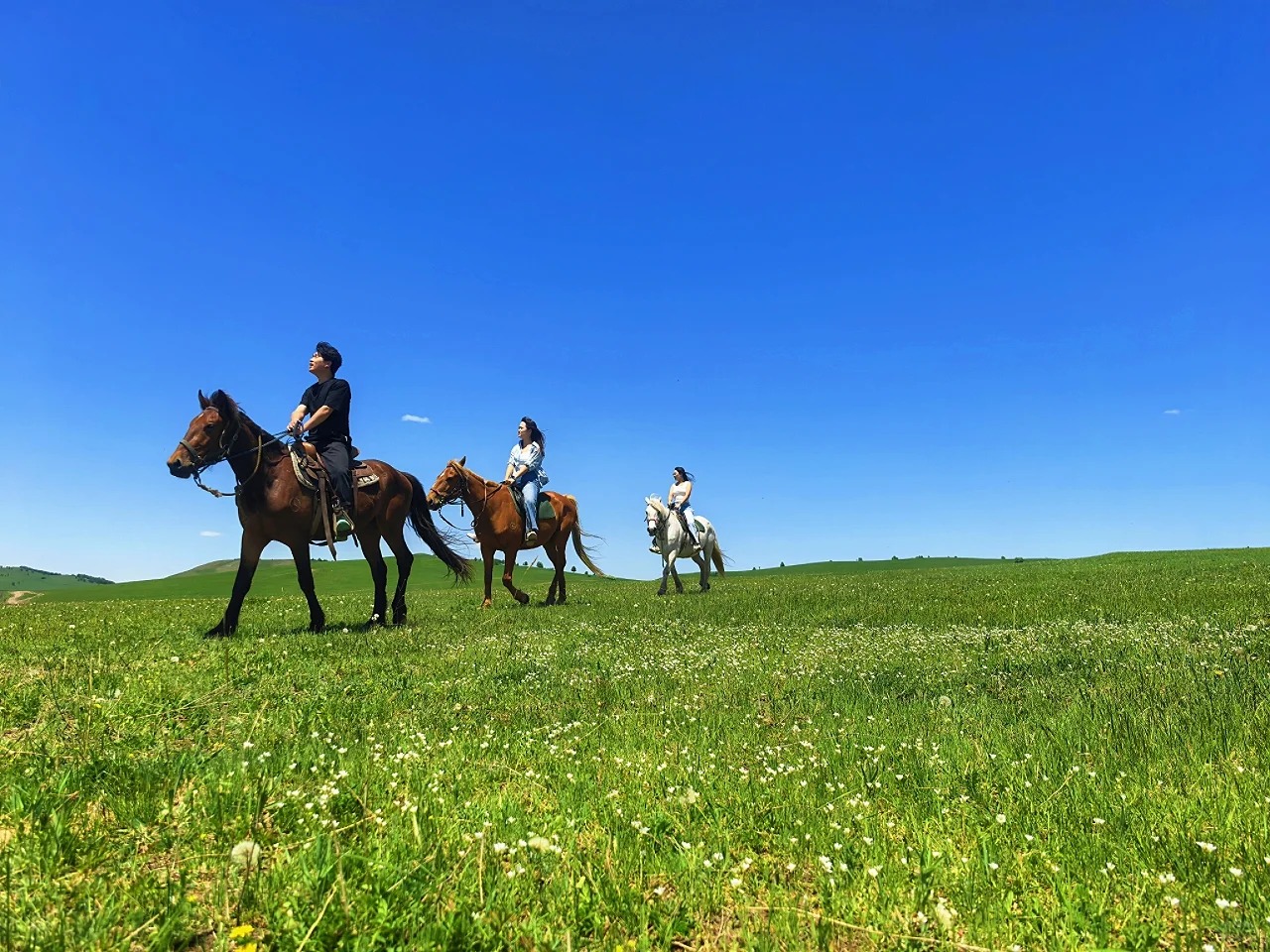 绚丽北疆6天5晚纯玩精品小团