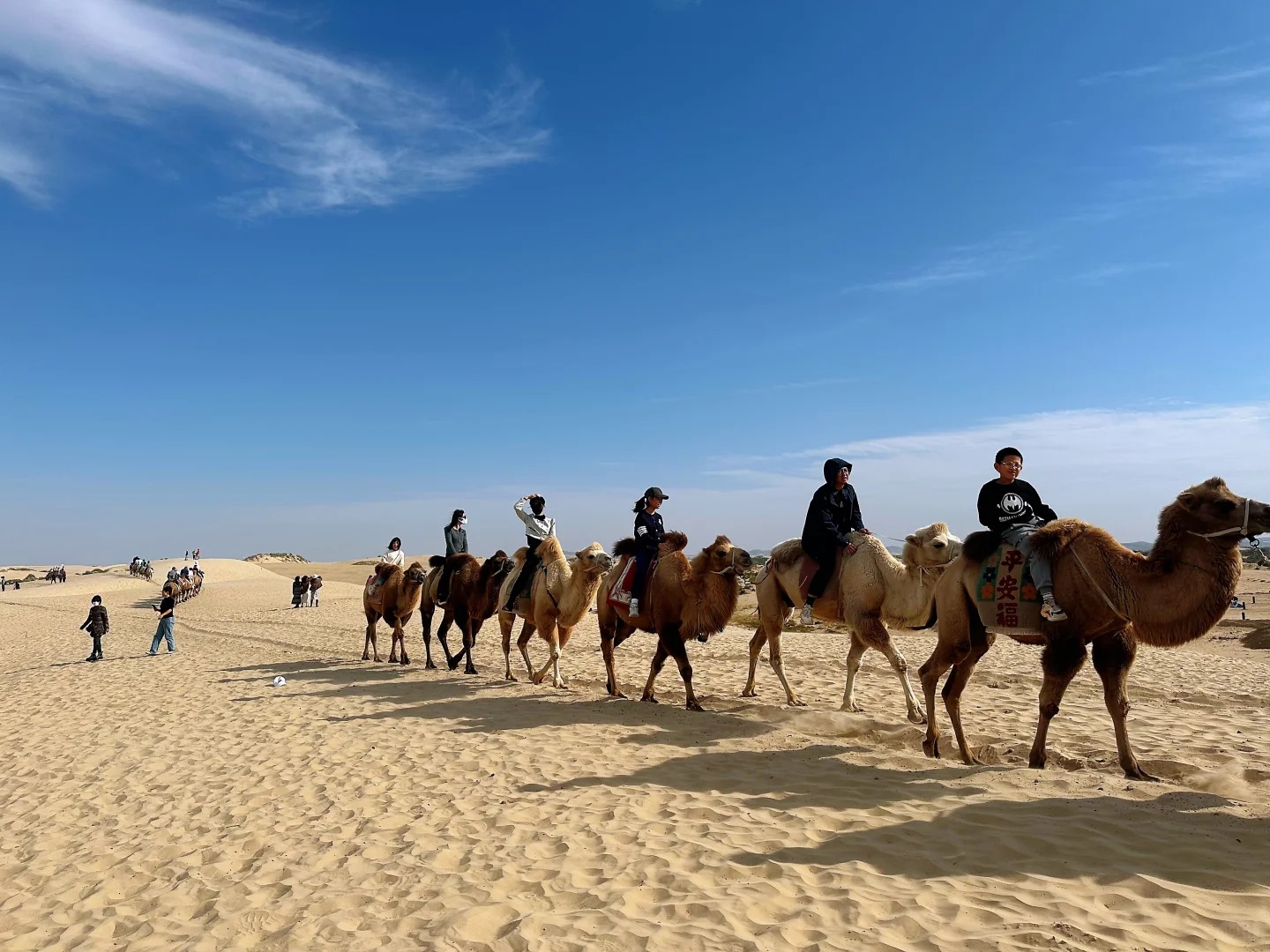 绚丽北疆6天5晚纯玩精品小团