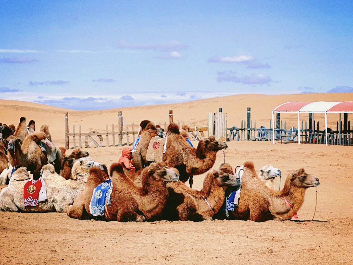 莲花度假（莲花酒店度假专属）