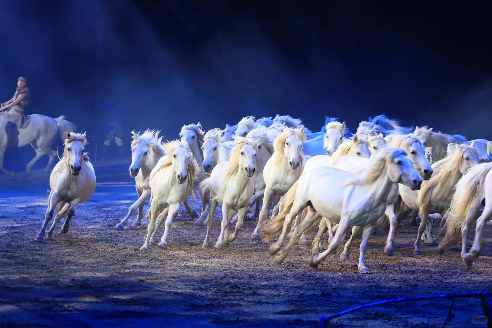 一见青城（呼和浩特市区一日游）
