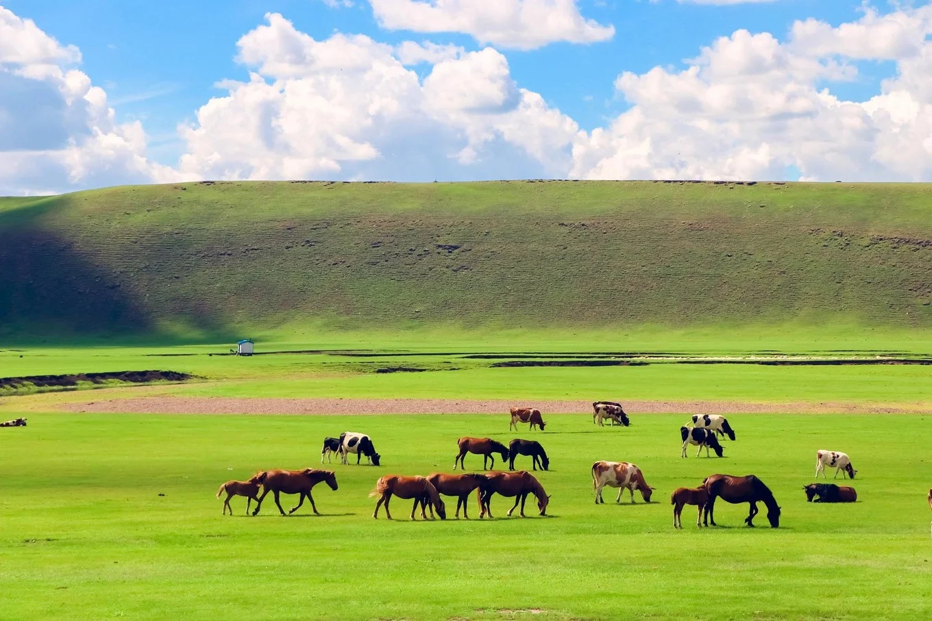 蒙中大观（草原沙漠火山2日游）