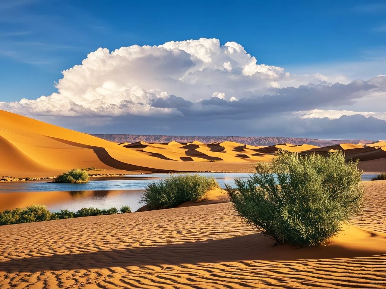 蒙中大观（草原沙漠火山2日游）