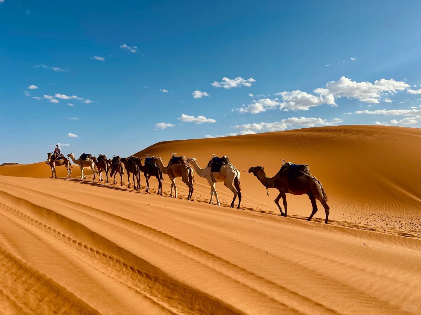 蒙中大观（草原沙漠火山2日游）