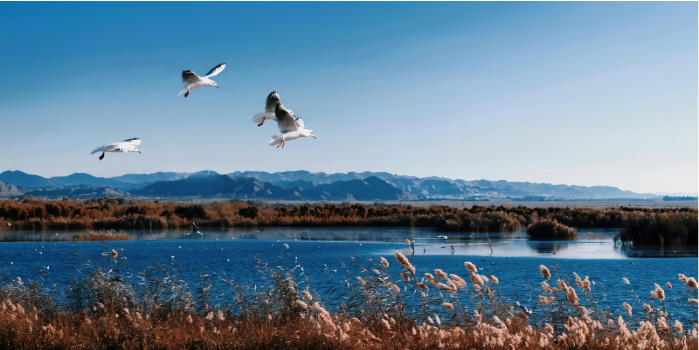 蒙中大观（草原沙漠火山2日游）