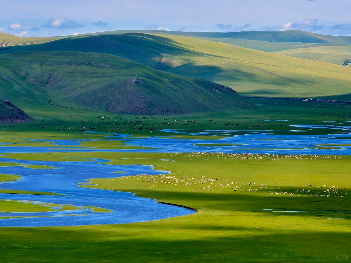 呼伦逐绿（呼伦贝尔5天4晚纯玩深度游）