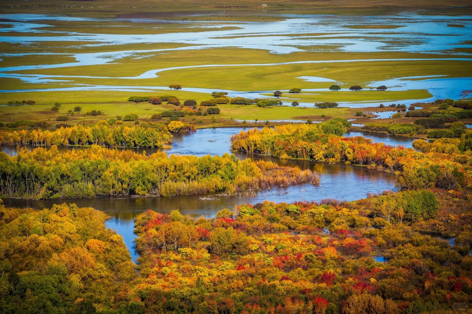 呼伦逐绿（呼伦贝尔5天4晚纯玩深度游）