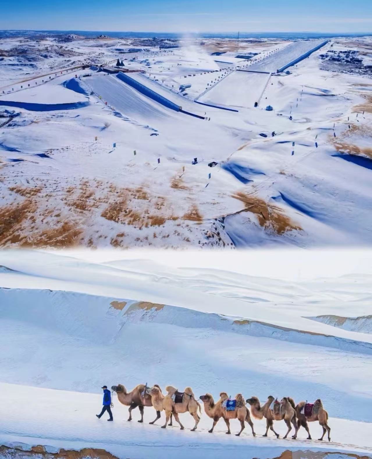 锚定品质·坚守边界｜内蒙古金旅假日以清晰定位赋能文旅高质量发展