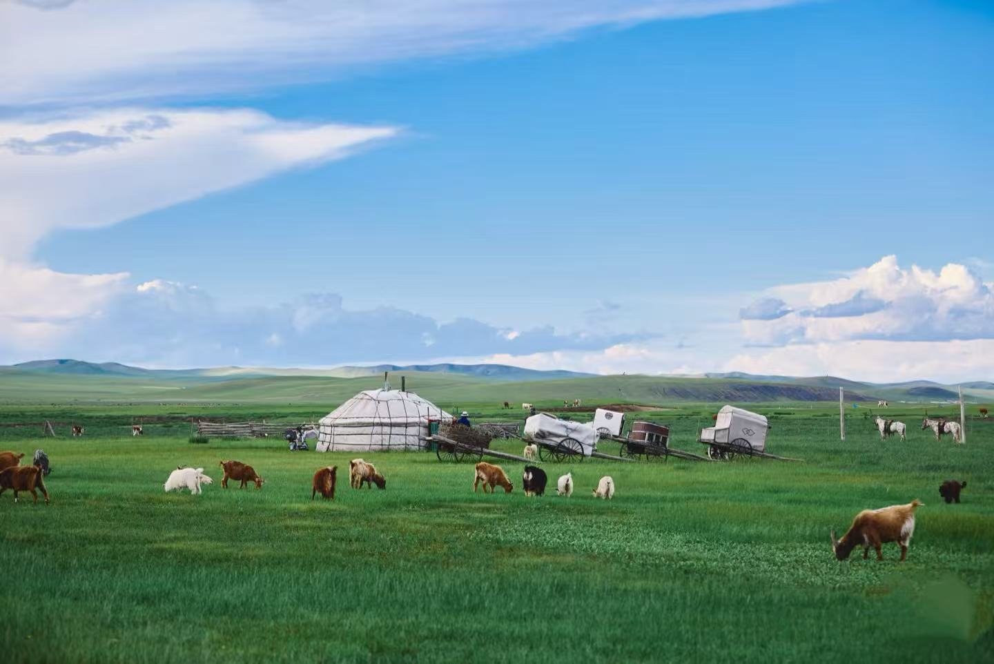 坚守诚信底线 践行透明服务——内蒙古金旅假日明确旅游服务不承诺事项