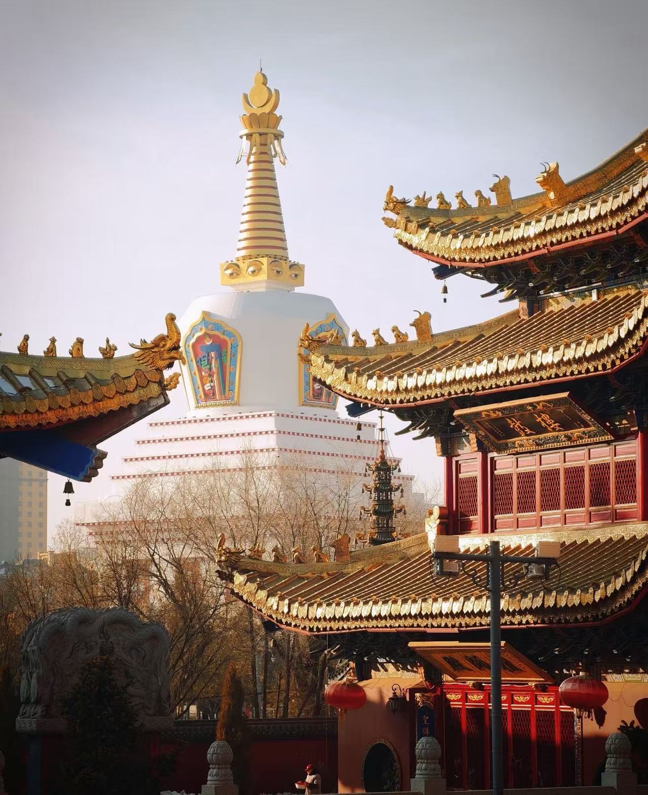 呼和浩特深度漫游全攻略：从必游景点、美食到特色体验，一篇搞定！