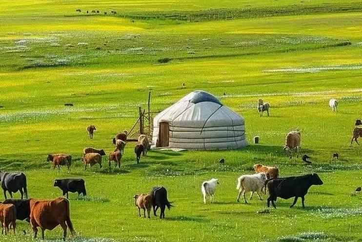 2026呼和浩特旅游旺季全攻略：草原+沙漠+火山，金旅假日带你玩转“青城”核心圈