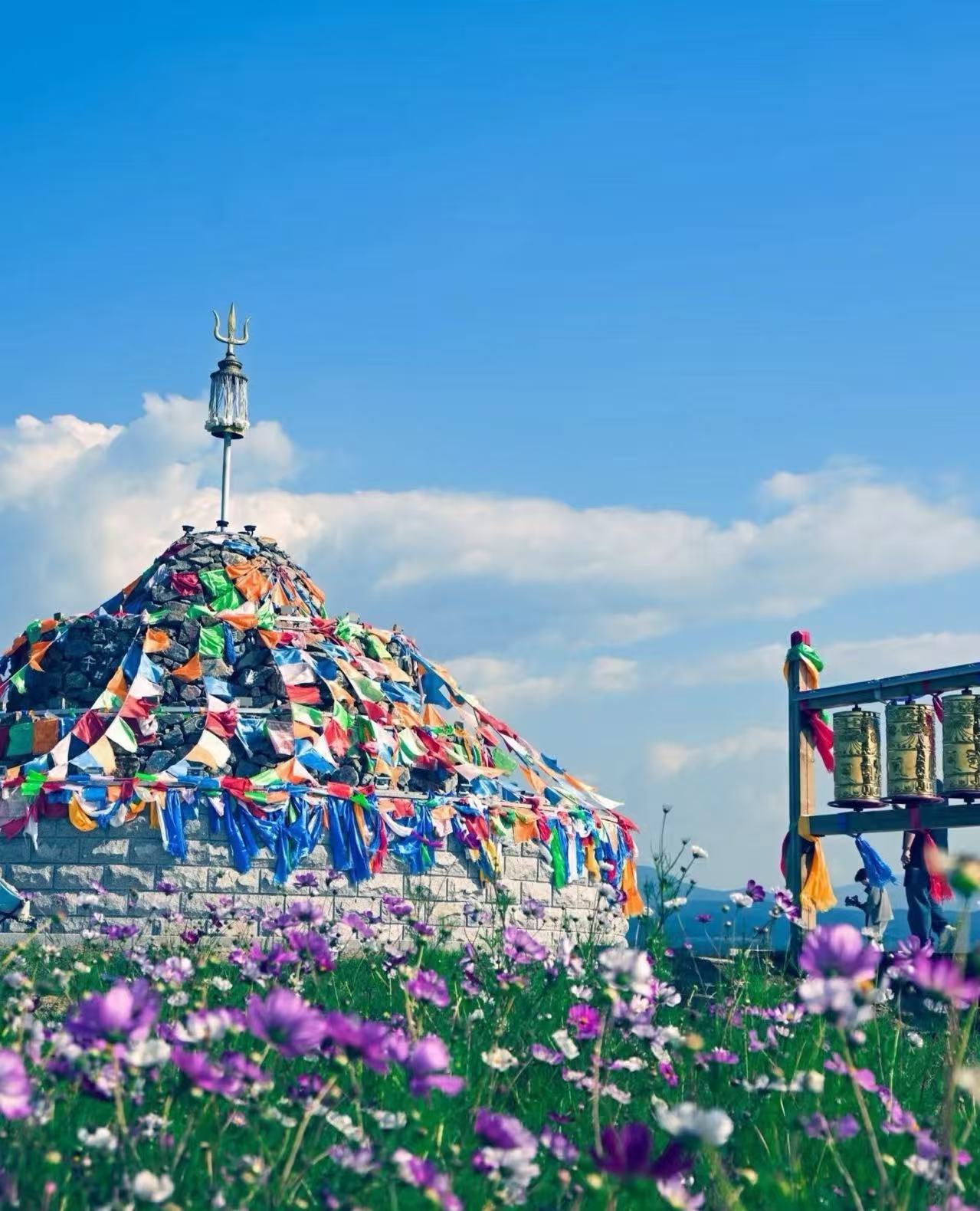 深耕品质，破局而立：金旅假日锚定“呼和如此HOT”背后的服务升级战